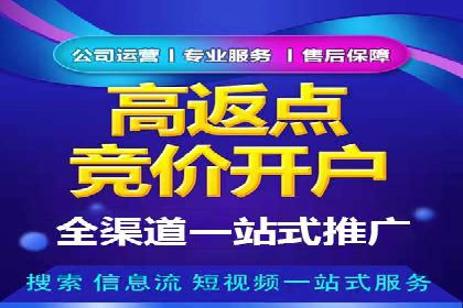 行业内的SEM竞价策略与效果对比案例